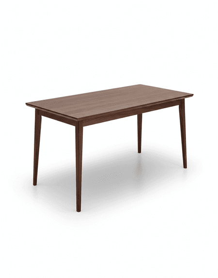 Modern Wooden Dining Table